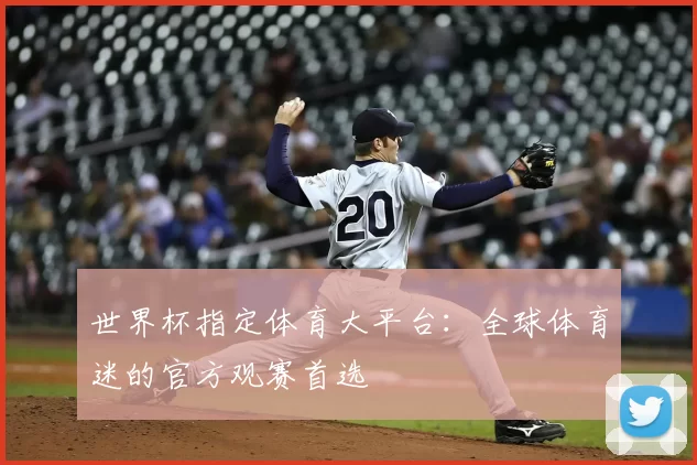 世界杯指定体育大平台：全球体育迷的官方观赛首选