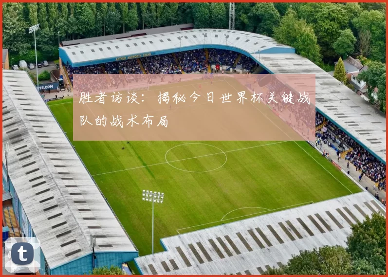 胜者访谈:揭秘今日世界杯关键战队的战术布局