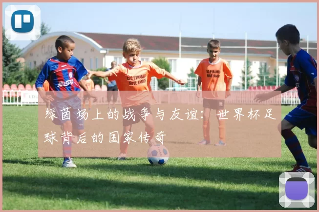绿茵场上的战争与友谊:世界杯足球背后的国家传奇