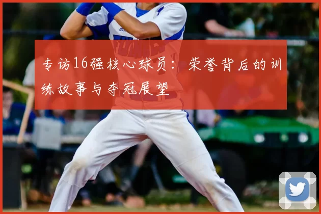 专访16强核心球员：荣誉背后的训练故事与夺冠展望