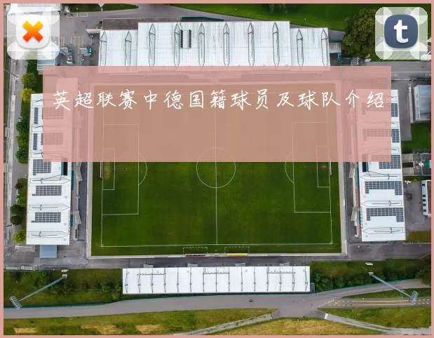 英超联赛中德国籍球员及球队介绍
