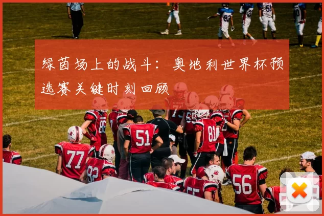 绿茵场上的战斗：奥地利世界杯预选赛关键时刻回顾