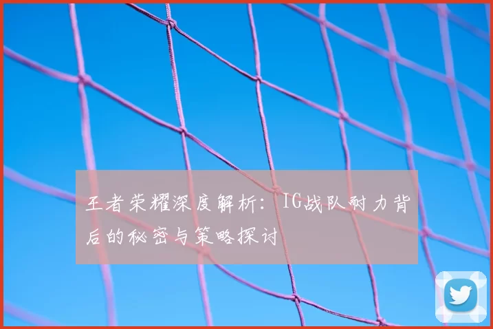 王者荣耀深度解析：IG战队耐力背后的秘密与策略探讨