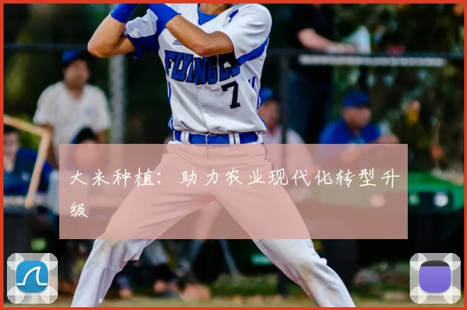 大米种植：助力农业现代化转型升级