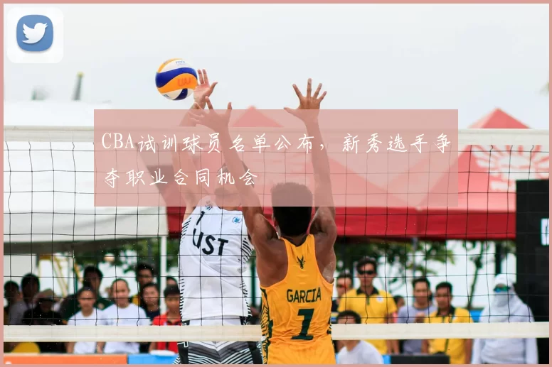 CBA试训球员名单公布，新秀选手争夺职业合同机会