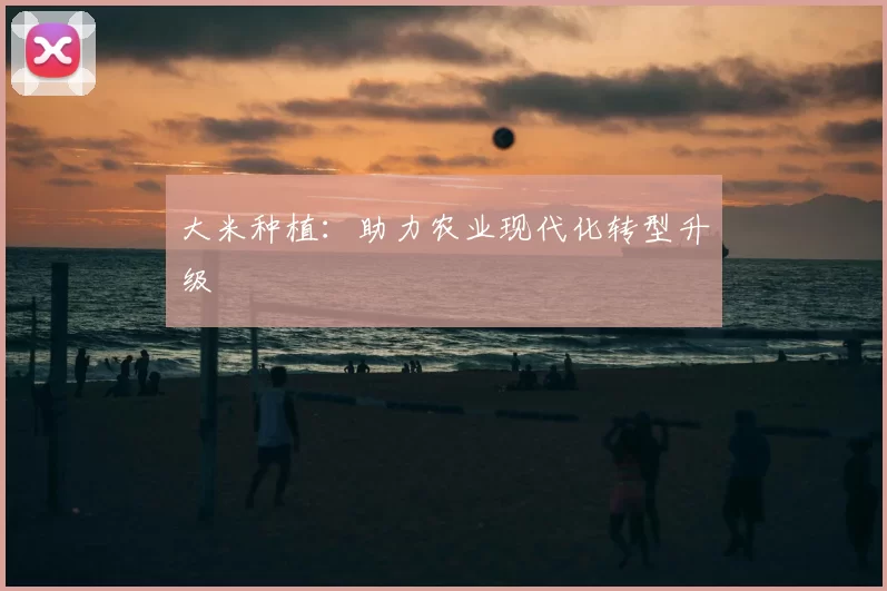 大米种植：助力农业现代化转型升级