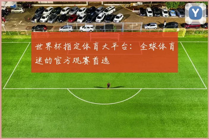 世界杯指定体育大平台:全球体育迷的官方观赛首选