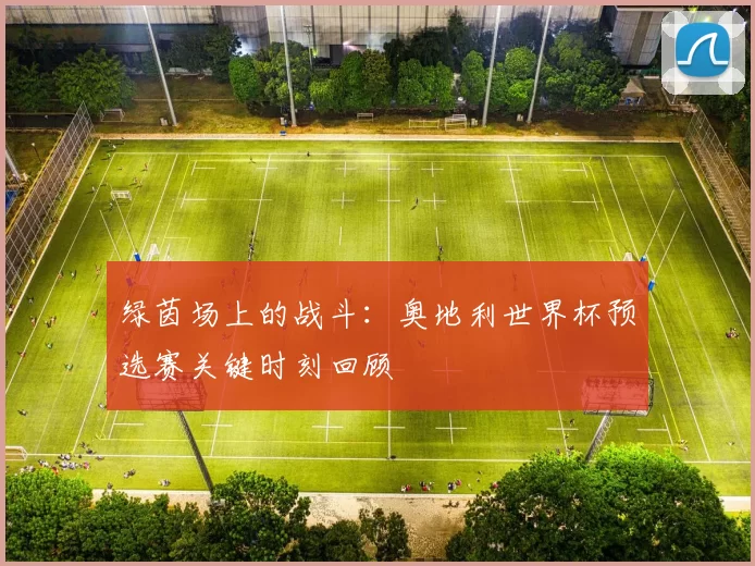 绿茵场上的战斗:奥地利世界杯预选赛关键时刻回顾
