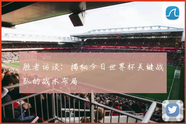 胜者访谈：揭秘今日世界杯关键战队的战术布局