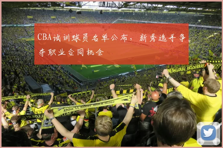 CBA试训球员名单公布，新秀选手争夺职业合同机会
