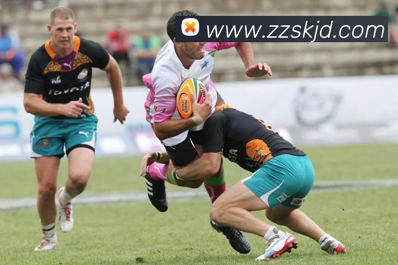 华体会体育平台生态图